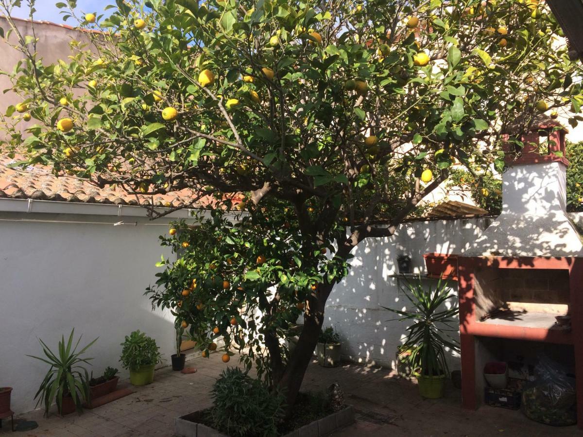 Lemon Tree House Oristano Exterior photo